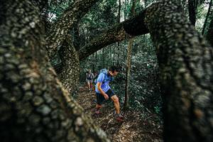 BIB: 
                            <button type="button" onclick="openModal(25392219)" class="btn btn-primary btn-sm float-right btn-popup" data-toggle="modal" data-target=".modal-high-quality">
                        <i class="fas fa-shopping-cart"></i> Add to Cart
                    </button>
                                            <button type="button" onclick="isThisMe(25392219, true)" class="btn btn-success btn-sm float-right btn-popup btn-isme hidden" data-toggle="tooltip" data-placement="bottom" title="นี่คือรูปของคุณใช่ไหม คลิกที่นี่เพื่อเอาเข้าอัลบั้ม">
                        <i class="fas fa-plus"></i> Add to album
                    </button>
                    <button type="button" onclick="isThisMe(25392219, false)" class="btn btn-warning btn-sm float-right btn-popup btn-isnotme hidden">
                        <i class="fas fa-ban"></i> Remove from album
                    </button>